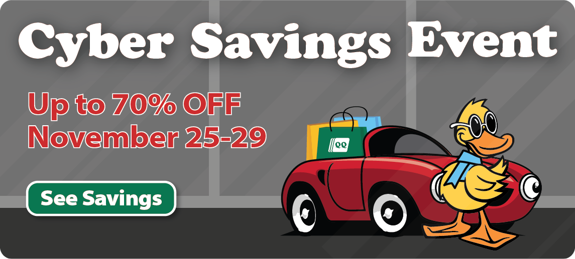 Sale and Promo Banner