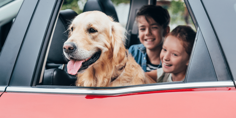 A family and their don driving in a car.