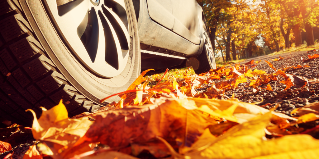 Wheels of a car over leaves