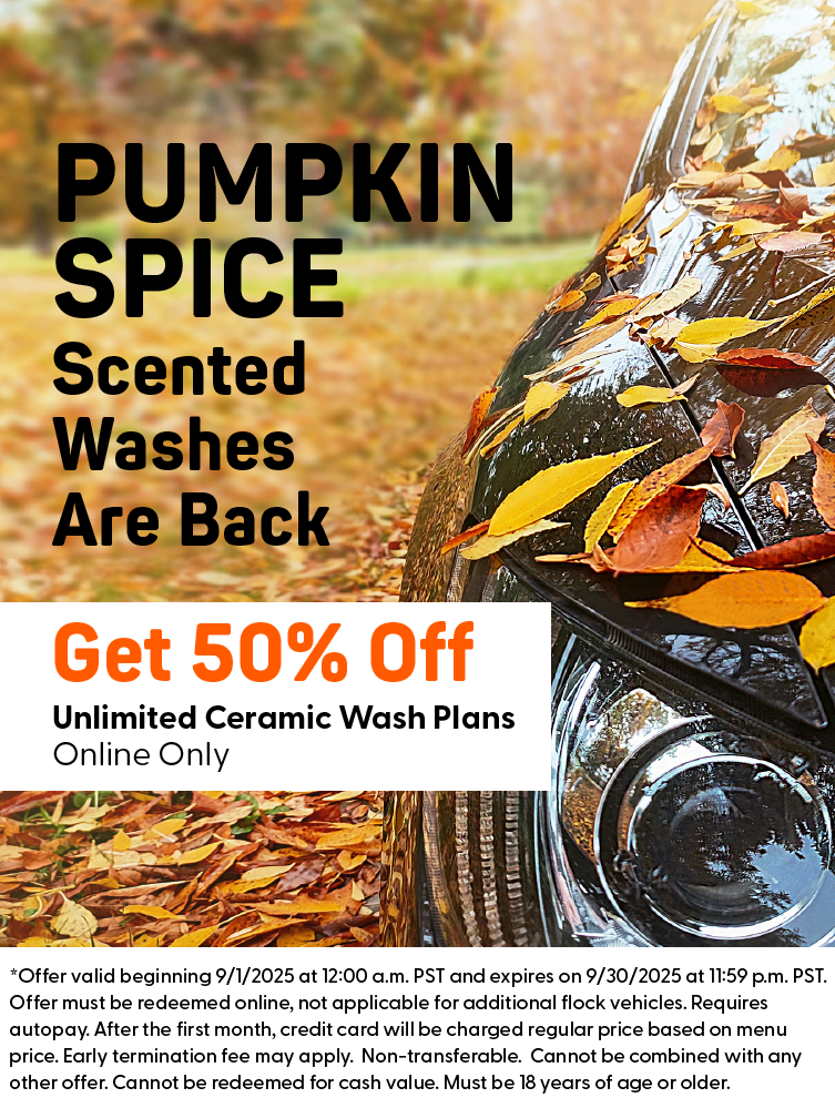 Sale and Promo Banner